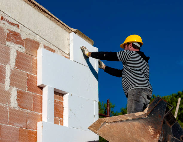 Best Attic Insulation Installation  in Mexico, MO
