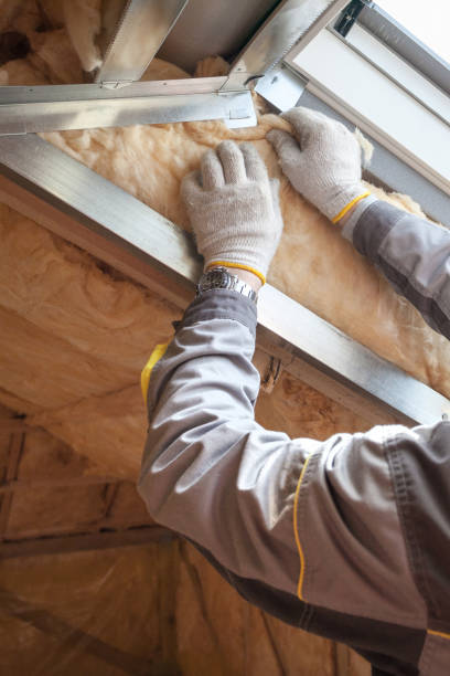 Best Spray Foam Insulation  in Mexico, MO
