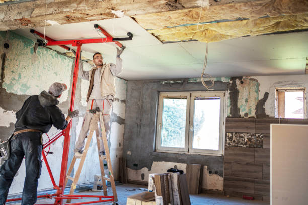 Best Insulation Contractors for Homes  in Mexico, MO