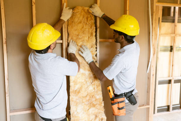 Best Cellulose Insulation  in Mexico, MO