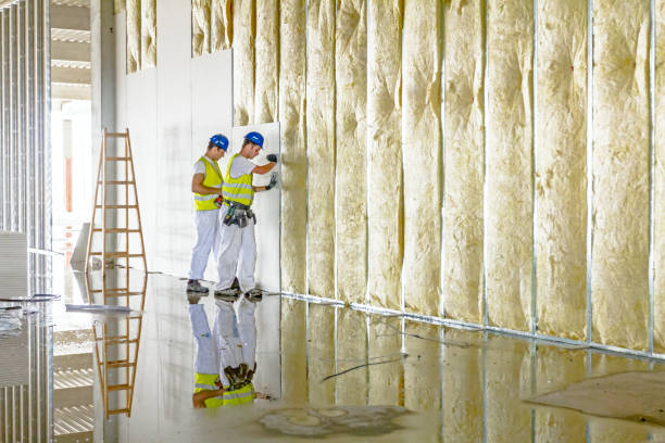 Best Insulation for New Construction  in Mexico, MO